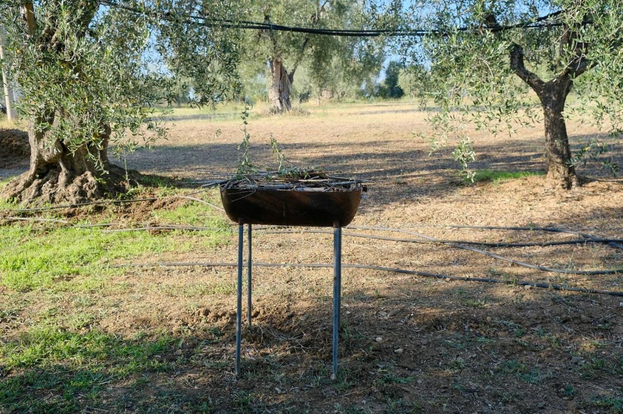 La Villa Di Campagna Pisticci Eksteriør bilde